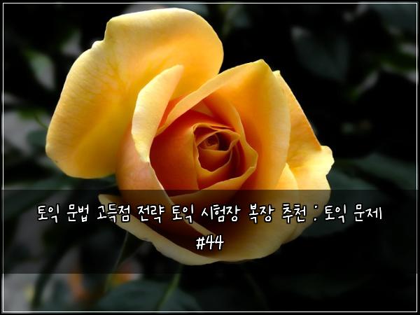 토익 문법 고득점 전략 토익 시험장 복장 추천 : 토익 문제 #44