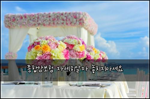 종합암보험 자세히알자  놓치지마세요