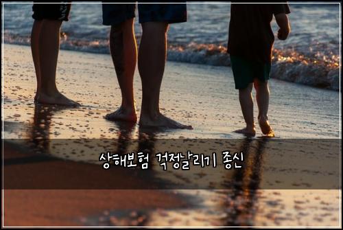 상해보험 걱정날리기  종신