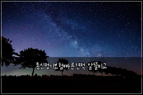 종신정기보험빠른견적 알뜰비교