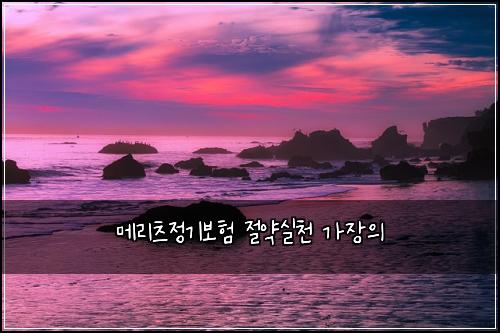 메리츠정기보험 절약실천  가장의