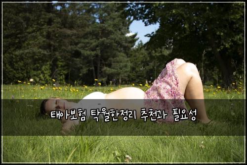 태아보험 탁월한정리  추천과 필요성