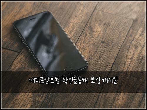 매리츠암보험 확인을통해  보장개시일