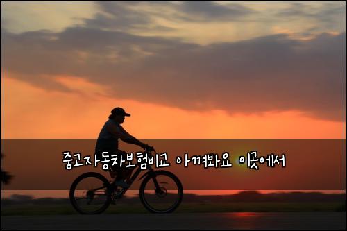 중고자동차보험비교 아껴봐요 이곳에서