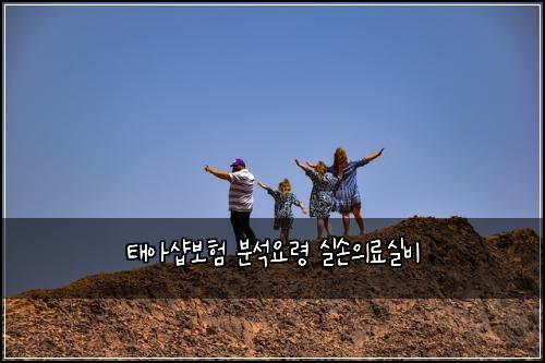 태아샵보험 분석요령  실손의료실비
