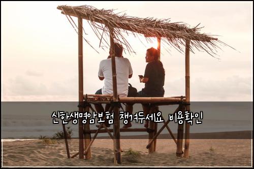 신한생명암보험 챙겨두세요  비용확인
