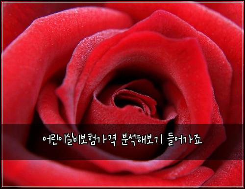 ์ด๋ฆฐ์ด์ค๋น๋ณดํ๊ฐ๊ฒฉ ๋ถ์ํด๋ณด๊ธฐ ๋ค์ด๊ฐ์ฃ