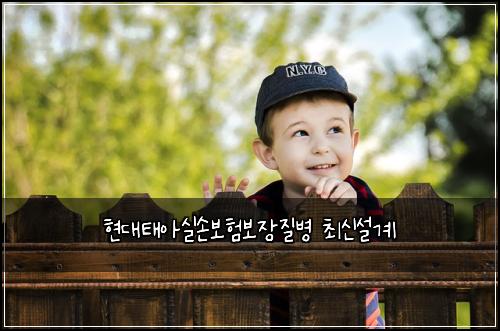 현대태아실손보험보장질병 최신설계
