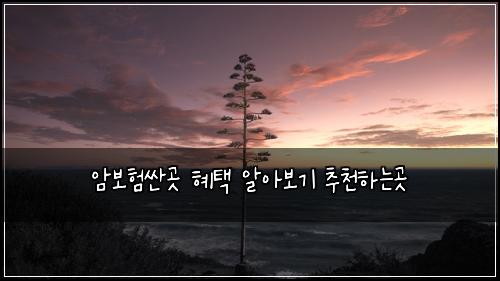 ์๋ณดํ์ผ๊ณณ ํํ ์์๋ณด๊ธฐ ์ถ์ฒํ๋๊ณณ
