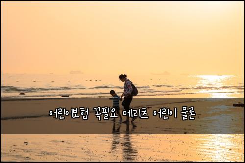 어린이보험 꼭필요  메리츠 어린이 물론