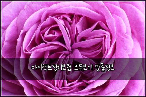 다이렉트정기보험 모두보기  맞춤정보
