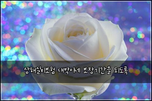 상해실비보험 대박이네  보장기간을 되도록