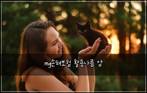 mg손해보험 활용나름  암