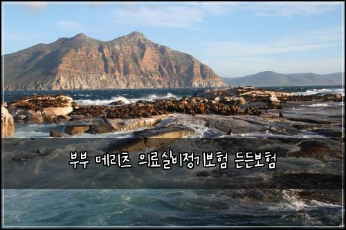 부부 메리츠 의료실비정기보험 든든보험 