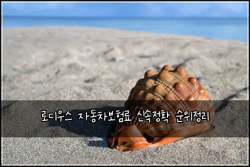 로디우스 자동차보험료 신속정확 순위정리