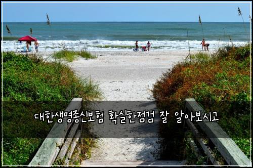 대한생명종신보험 확실한점검  잘 알아보시고