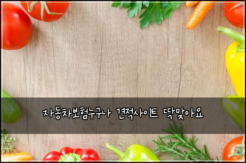 자동차보험누구나 견적사이트 딱맞아요