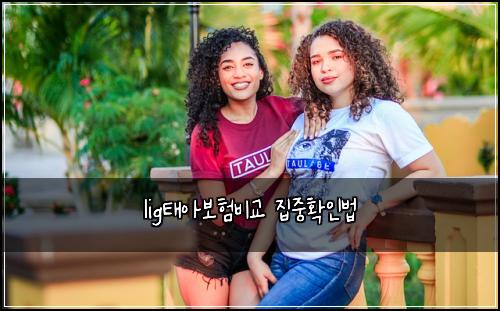 lig태아보험비교 집중확인법