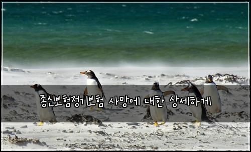 종신보험정기보험 사망에 대한 상세하게