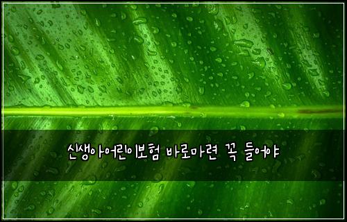 신생아어린이보험 바로마련  꼭 들어야