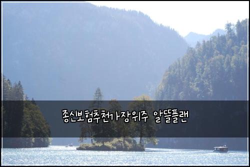 종신보험추천가장위주 알뜰플랜