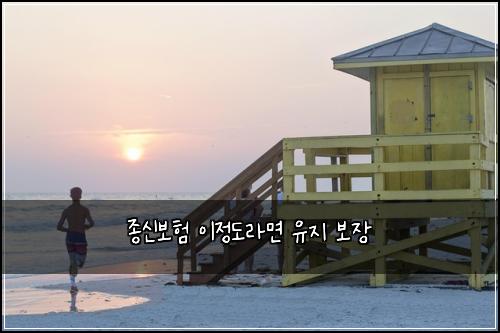 종신보험 이정도라면  유지 보장