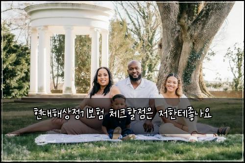 현대해상정기보험 체크할점은  저한테좋나요