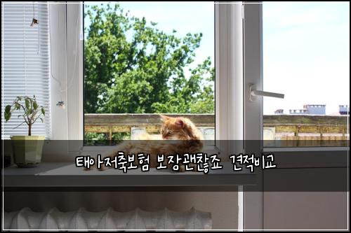태아저축보험 보장괜찮죠  견적비교