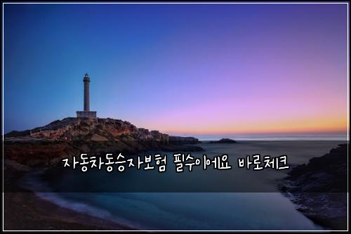 자동차동승자보험 필수이에요  바로체크