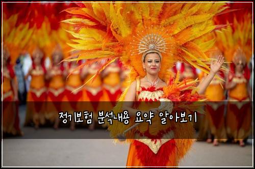 정기보험 분석내용  요약 알아보기