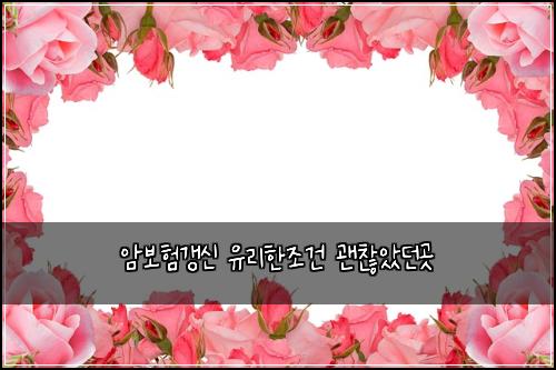 암보험갱신 유리한조건 괜찮았던곳