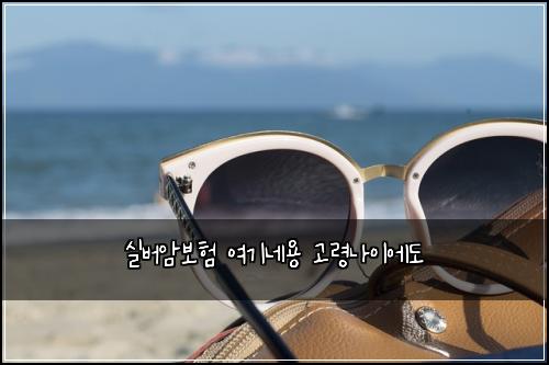실버암보험 여기네용  고령나이에도