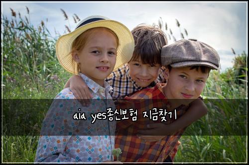 aia yes종신보험 지금찾기 