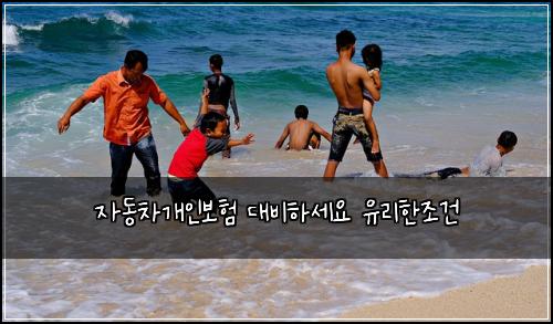 자동차개인보험 대비하세요  유리한조건