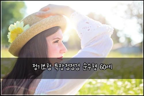 정기보험 특장점점검  순수형 60세