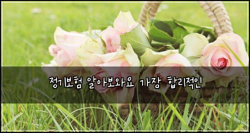 정기보험 알아보와요  가장 합리적인