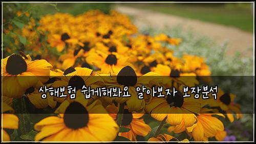 상해보험 쉽게해봐요  알아보자 보장분석