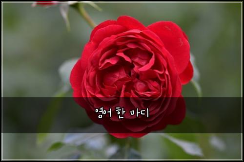 ์์ด ํ ๋ง๋