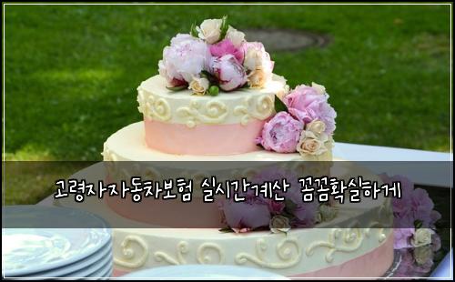 고령자자동차보험 실시간계산  꼼꼼확실하게
