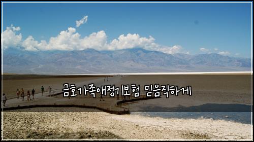 금호가족애정기보험 믿음직하게 