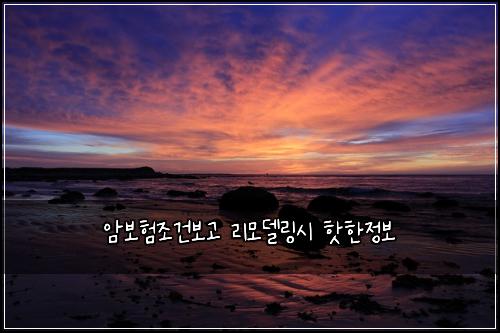 암보험조건보고 리모델링시 핫한정보