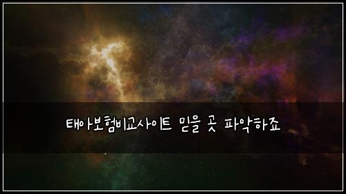 태아보험비교사이트 믿을 곳 파악하죠