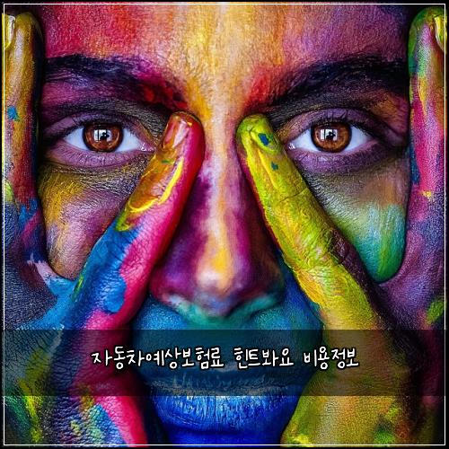 자동차예상보험료 힌트봐요 비용정보