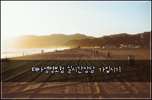 태아생명보험 실시간상담  가입시기
