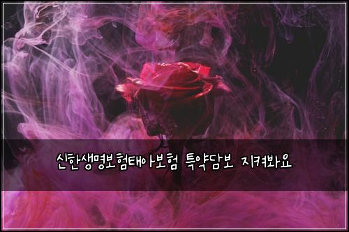 신한생명보험태아보험 특약담보 지켜봐요