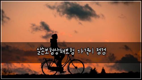실손보험상해보험 가격이 점검