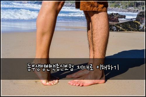 동부생명변액종신보험 제대로 이해하기