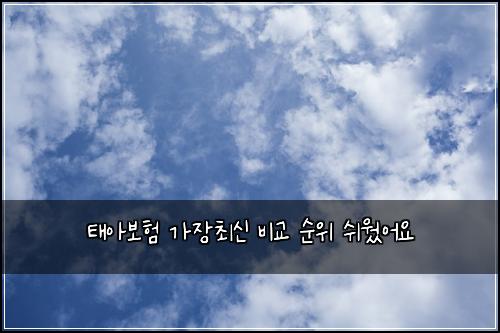 태아보험 가장최신  비교 순위 쉬웠어요