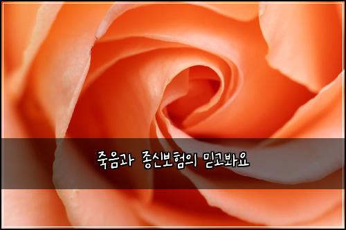 ์ฃฝ์๊ณผ ์ข
์ ๋ณดํ์ ๋ฏฟ๊ณ ๋ด์