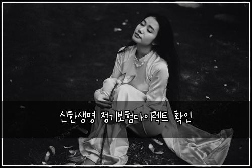 신한생명 정기보험다이렉트 확인